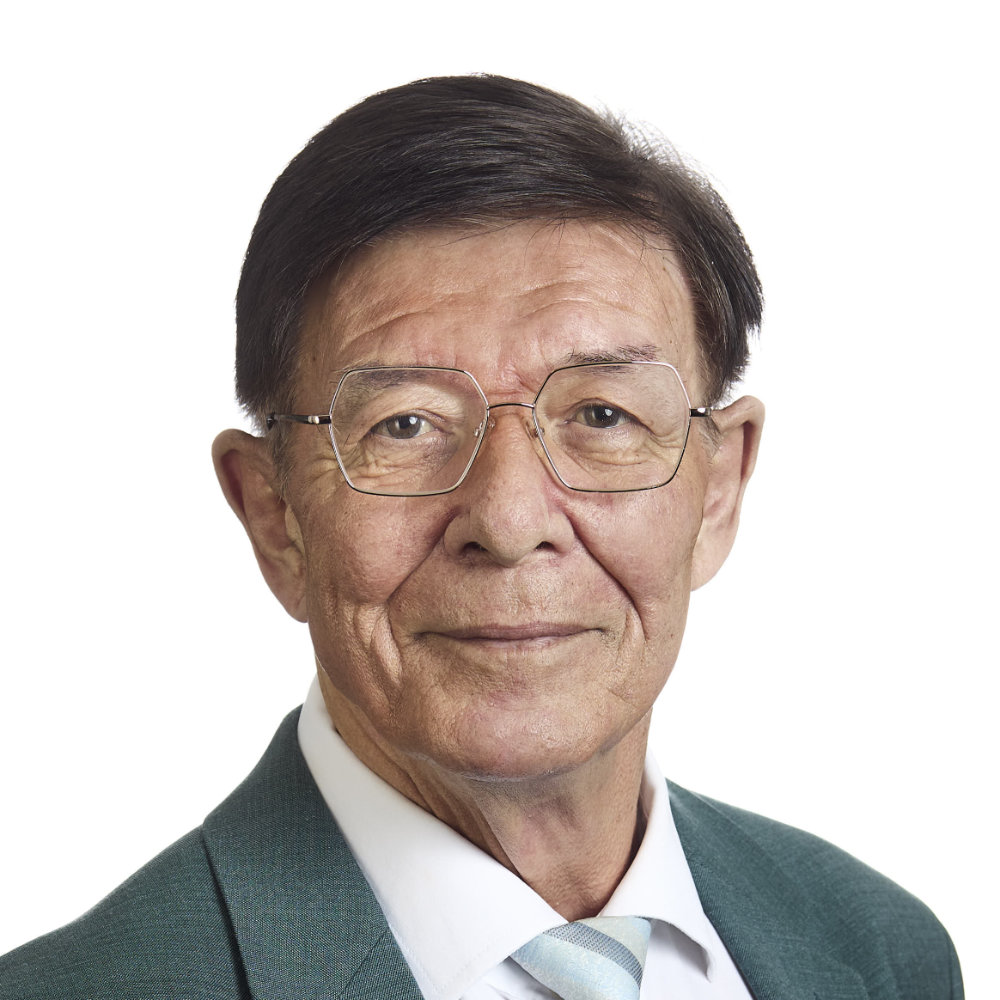 Willi Bündgens